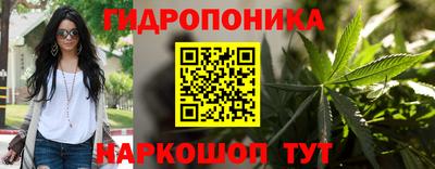 МДПВ Владимир