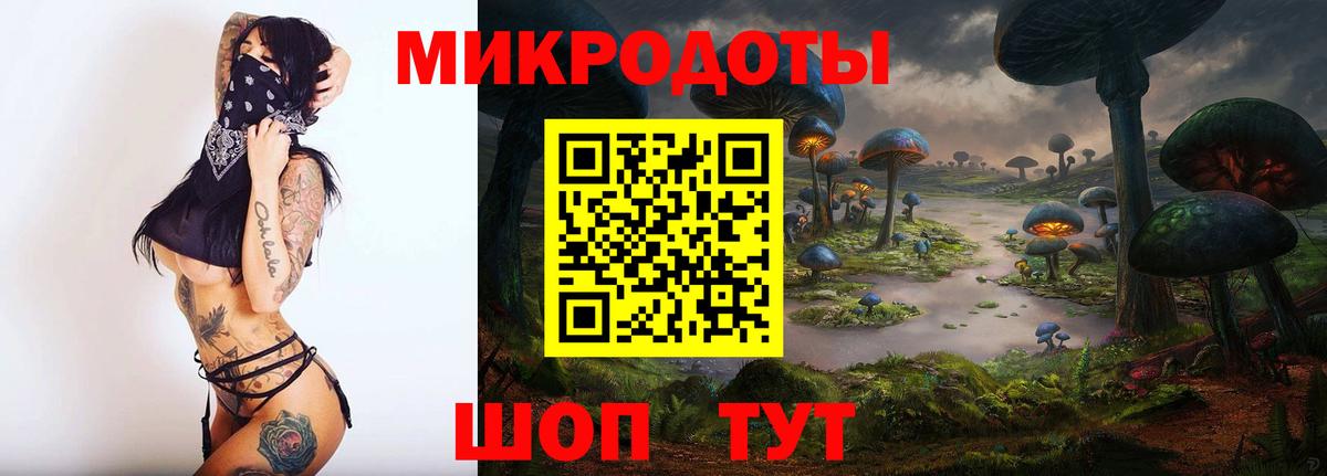 Бердск  Галлюциногенные грибы Psilocybe  Вход с VPN 
